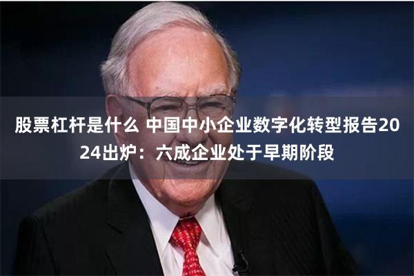 股票杠杆是什么 中国中小企业数字化转型报告2024出炉：六成企业处于早期阶段