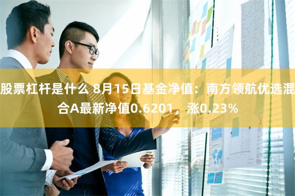 股票杠杆是什么 8月15日基金净值：南方领航优选混合A最新净值0.6201，涨0.23%