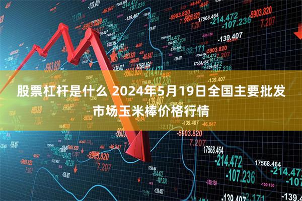 股票杠杆是什么 2024年5月19日全国主要批发市场玉米棒价格行情