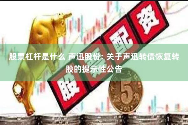 股票杠杆是什么 声迅股份: 关于声迅转债恢复转股的提示性公告