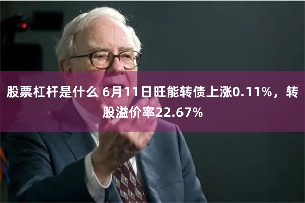 股票杠杆是什么 6月11日旺能转债上涨0.11%，转股溢价率22.67%