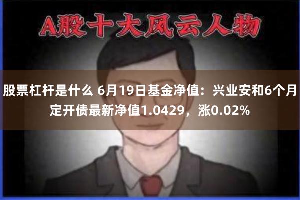 股票杠杆是什么 6月19日基金净值：兴业安和6个月定开债最新净值1.0429，涨0.02%