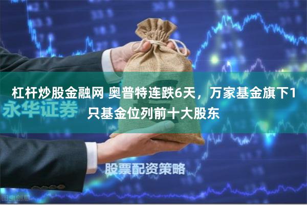 杠杆炒股金融网 奥普特连跌6天，万家基金旗下1只基金位列前十大股东