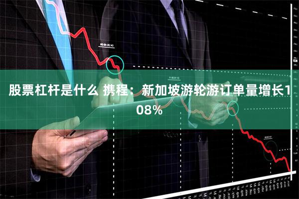 股票杠杆是什么 携程：新加坡游轮游订单量增长108%