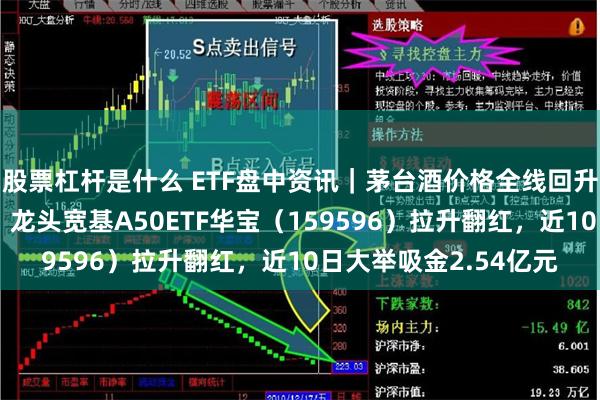 股票杠杆是什么 ETF盘中资讯｜茅台酒价格全线回升，贵州茅台劲涨3%！龙头宽基A50ETF华宝（159596）拉升翻红，近10日大举吸金2.54亿元