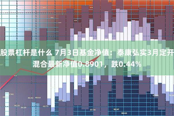 股票杠杆是什么 7月3日基金净值：泰康弘实3月定开混合最新净值0.8901，跌0.44%