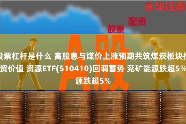 股票杠杆是什么 高股息与煤价上涨预期共筑煤炭板块投资价值 资源ETF(510410)回调蓄势 兖矿能源跌超5%