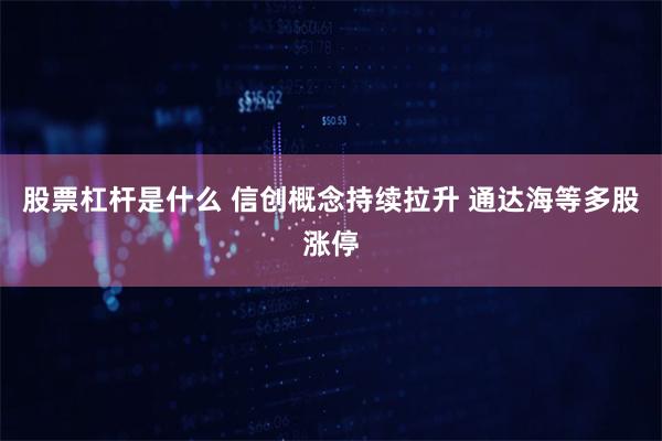 股票杠杆是什么 信创概念持续拉升 通达海等多股涨停