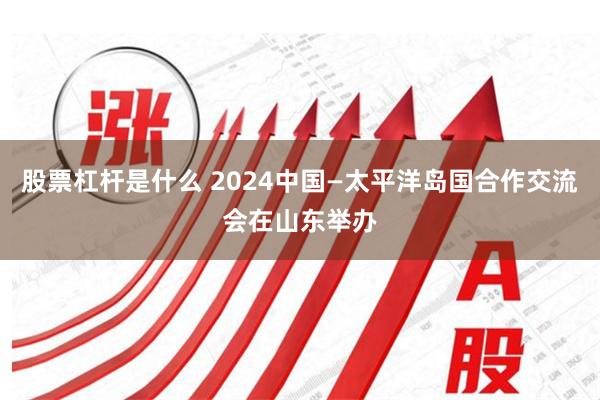 股票杠杆是什么 2024中国—太平洋岛国合作交流会在山东举办