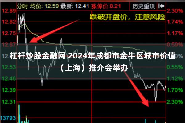 杠杆炒股金融网 2024年成都市金牛区城市价值（上海）推介会举办