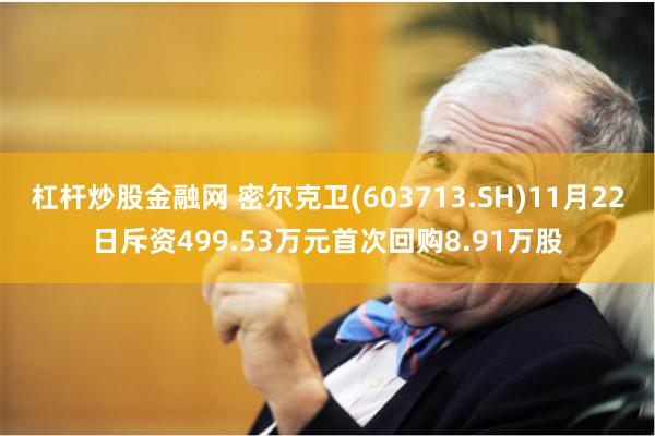 杠杆炒股金融网 密尔克卫(603713.SH)11月22日斥资499.53万元首次回购8.91万股