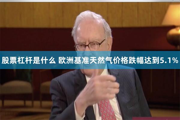 股票杠杆是什么 欧洲基准天然气价格跌幅达到5.1%