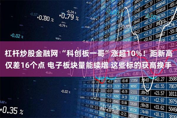 杠杆炒股金融网 “科创板一哥”涨超10%！距新高仅差16个点 电子板块量能续增 这些标的获高换手