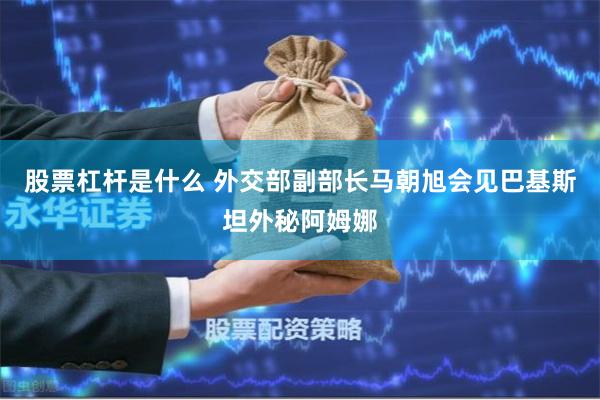 股票杠杆是什么 外交部副部长马朝旭会见巴基斯坦外秘阿姆娜