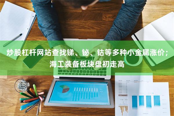 炒股杠杆网站查找锑、铋、钴等多种小金属涨价；海工装备板块盘初走高