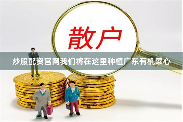 炒股配资官网我们将在这里种植广东有机菜心